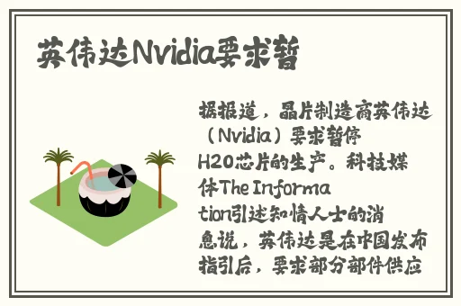 女生小玩具开10档